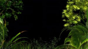 Why Lush Flower Co is the Best Florist in Sydney